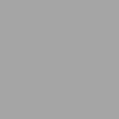 Alu-blanc RAL 9006