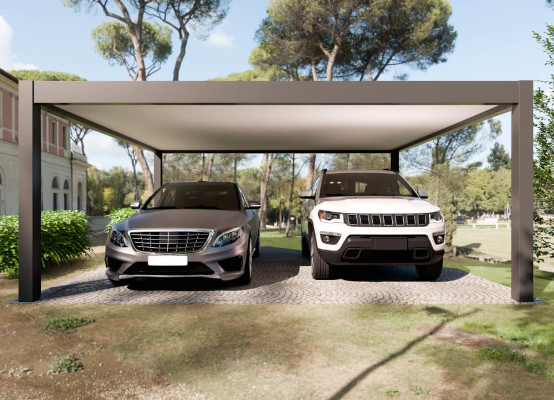 Carport 2 voitures