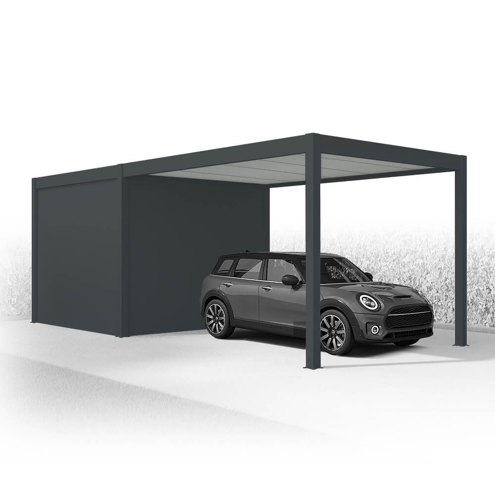 Carport avec abri de jardin