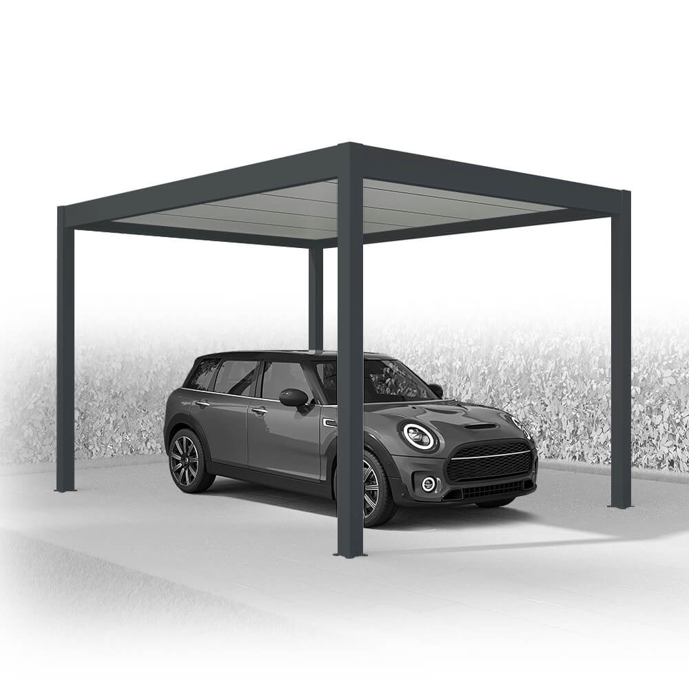 Carport autoportant