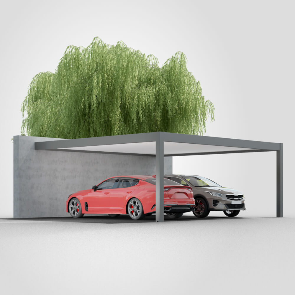 Carport adossé deux voitures