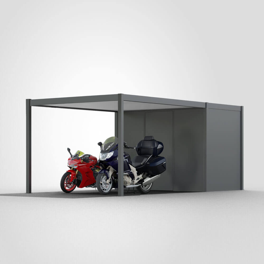 Carport avec abri de jardin