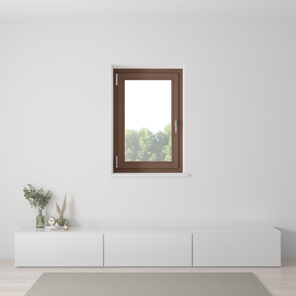 Fenêtre Brun pâle - RAL 8025