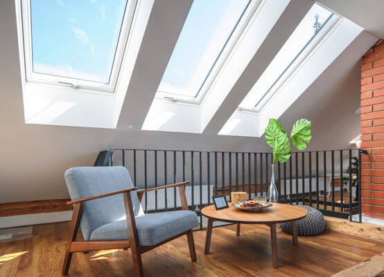 Fenêtre de toit en pvc RoofLITE