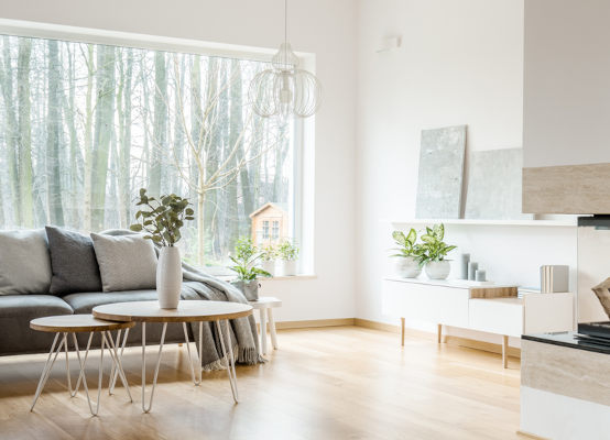 fenêtre 300x100