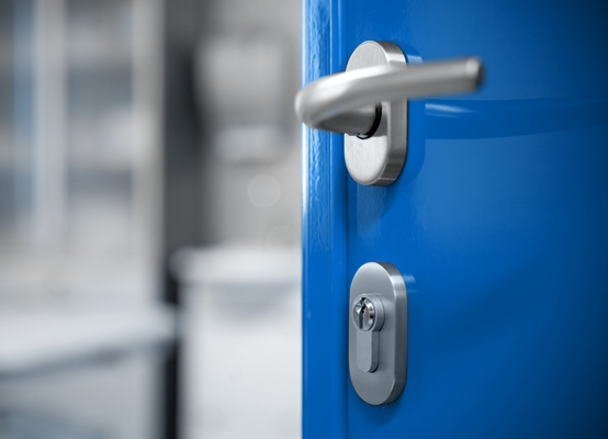 Poignée de porte d'entrée