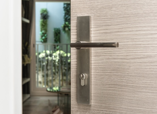 Poignée de porte d'entrée