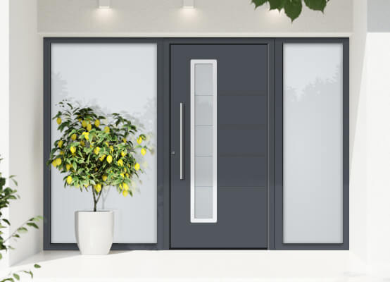 porte d'entrée alu