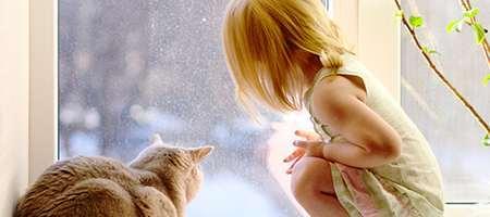 petite fille avec une chat devant la fenêtre