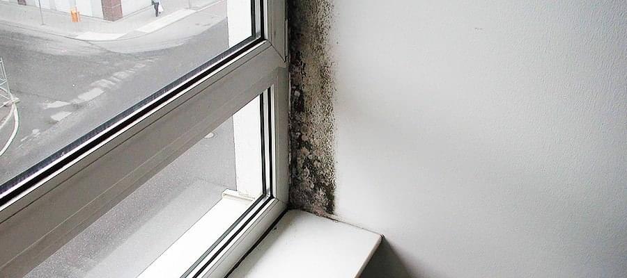 Comment éviter la condensation sur les fenêtres