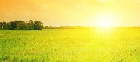 Durabilité et protection de l'environnement