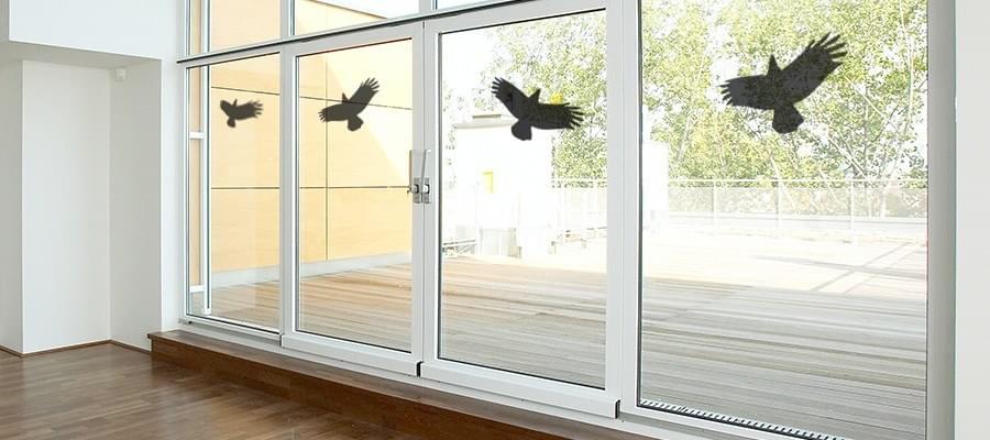 Comment rendre ses vitres sécuritaires pour les oiseaux sauvages